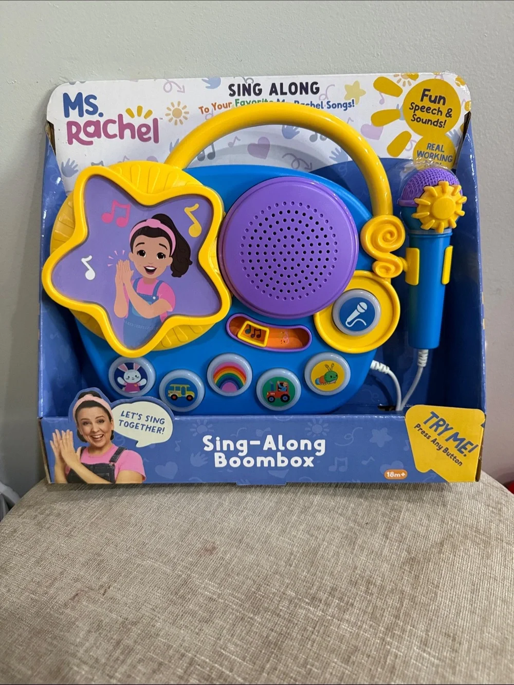 Ms Rachel Sing Along
